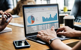 江苏项目投资风险评估 专业、公正、口碑卓越的启佳信息咨询服务